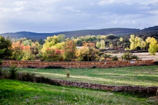 Castrillo-en-Otono-14